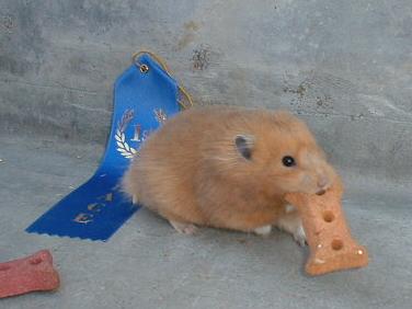 CreamPuff Running away with the props